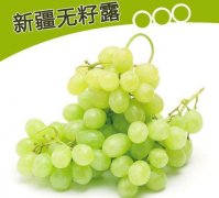 2020年11月4日无籽露葡萄价格行...