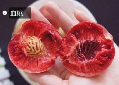 2020年11月5日血桃价格行情、今...