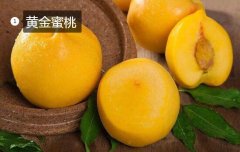 2020年11月5日黄金蜜桃价格行情...