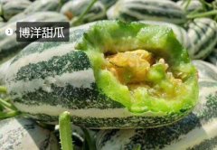2020年11月5日博洋甜瓜价格行情...