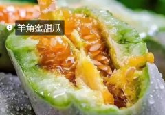 2020年11月5日羊角蜜甜瓜价格行...