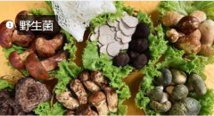 2020年11月6日野生菌价格行情、...