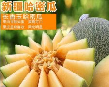 2020年11月6日长香玉价格行情、...