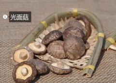 2020年11月7日光面菇价格行情、...
