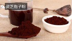 2020年11月7日灵芝孢子粉价格行...