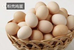 2020年11月7日粉蛋价格行情、今...