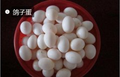 2020年11月8日鸽蛋价格行情、今...