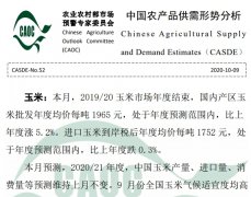 2020年10月中国农产品供需形势分...
