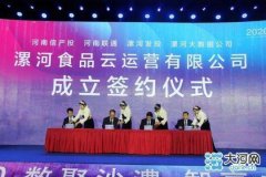 河南：全国首家食品云在漯河上线