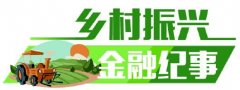 天津金融局引金融活水服务乡村振兴、以...