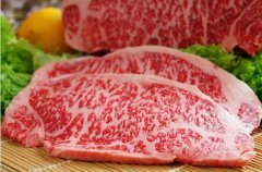 2020年12月13日雪花牛肉价格行...