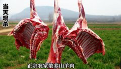 2020年12月15日山羊肉价格行情...