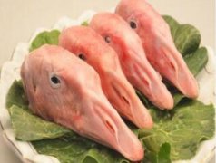 2020年12月20日鹅头价格行情、...