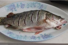 2020年12月22日鳜鱼价格行情、...