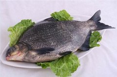 2020年12月22日鳊鱼价格行情、...