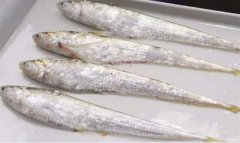 2020年12月22日刀鱼价格行情、...