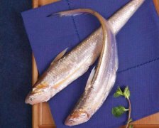 2020年12月22日毛刀鱼价格行情...