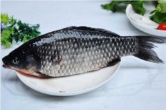 2020年12月22日鲫鱼价格行情、...