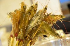 2020年12月23日明虾价格行情、...