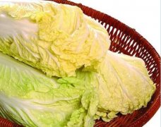 2020年12月24日黄心白菜价格行...