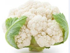 2020年12月25日白花菜花价格行...