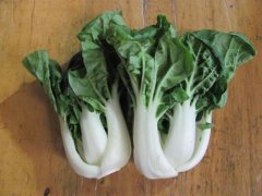 2020年12月27日奶白菜价格行情...