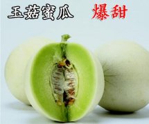 2020年12月31日玉菇甜瓜价格行...