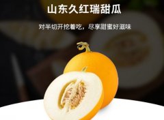 2020年12月31日久红瑞甜瓜价格...