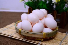 2020年12月31日鸽蛋价格行情、...