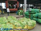 2021年1月14日农批价格指数上升...