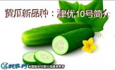 黄瓜新品种：津优10号简介