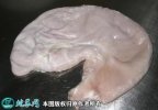 2021年2月6日猪肚价格行情、今日...