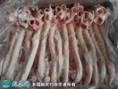 2021年2月6日猪心管价格行情、今...