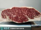 2021年2月8日牛腹肉价格行情、今...