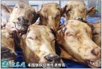 2021年2月8日牛头价格行情、今日...