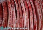 2021年2月8日牛排骨价格行情、今...