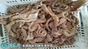 2021年2月8日牛小肠价格行情、今...