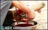 2021年2月16日鹿血价格行情、今...