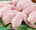 2021年2月19日鸡翅价格行情、今...