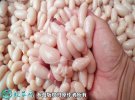 2021年2月19日鸡腰子价格行情、...