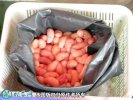 2021年2月19日鸡子价格行情、今...