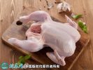 2021年2月19日鸡肉价格行情、今...