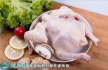 2021年2月19日白条鸡价格行情、...