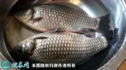 2021年2月22日鲫鱼价格行情、今...