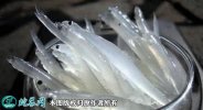 2021年2月23日银鱼价格行情、今...