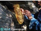 2021年2月24日野蜂蜜价格行情、...