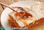 2021年2月24日蜂巢蜜价格行情、...
