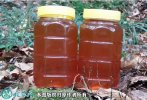2021年2月25日枣花蜜价格行情、...