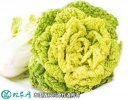 2021年2月25日黄心白菜价格行情...