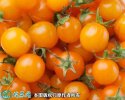 2021年2月27日黄圣女果价格行情...